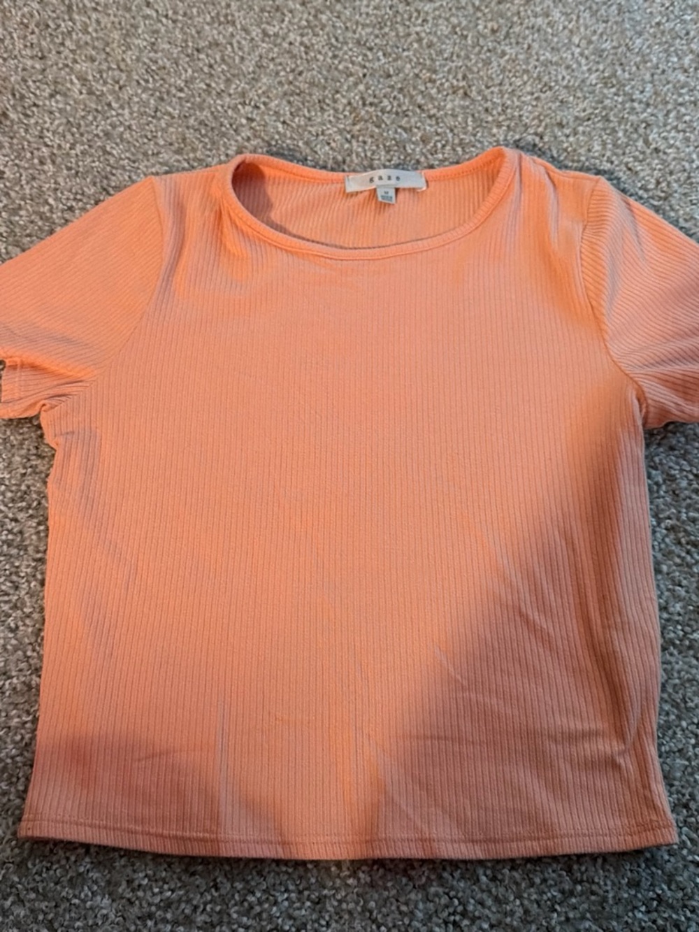 gaze Short Sleeve Ribbed Tee in Coral